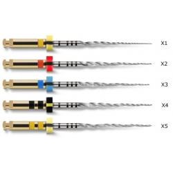 Protaper Next 25mm Dentsply