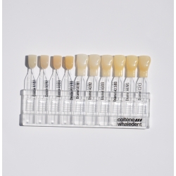 Brilliant Ng1 Shade Guide Coltene