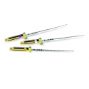 PathFile 21mm Dentsply Maillefer