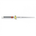 ProFile.04 RA 21mm Dentsply Maillefer