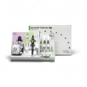 Variolink Esthetic DC System Kit Ivoclar Vivadent