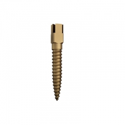 Pivoti endo aurii long 15 bucati Dentatus