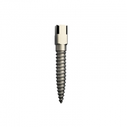 Титаниеви щифтове Long 15 броя Dentatus