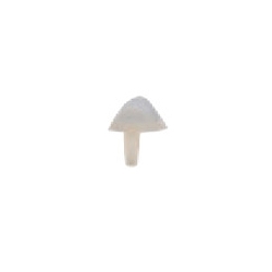 SeptoMatrix Cervical Прозрачни Extra-Large 50 матрици Septodont