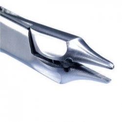 Cleste Universal