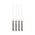 Endoflex Paste Fillers 25mm Henry Schein