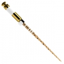 WaveOne Gold Large 31mm Dentsply