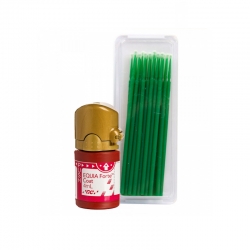 EQUIA Forte Coat 4ml GC