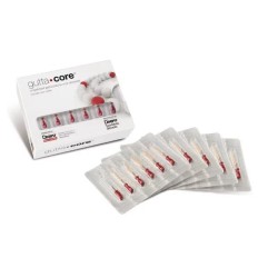 GuttaCore Obturator Dentsply