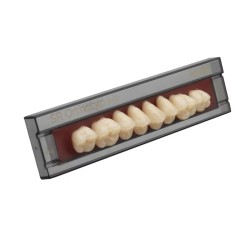 SR Orthotyp A-D Set 8 Задни зъби U N3U A2 Ivoclar