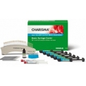Charisma Opal Basic Kit 6x4g Heraeus Kulzer